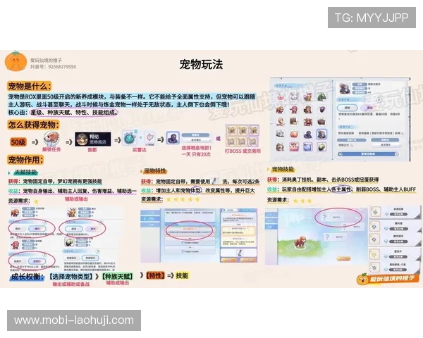 不朽情缘电脑版宠物系统详解，培养强力宠物助力战斗全场无敌